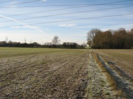 Approaching Shaw Wood