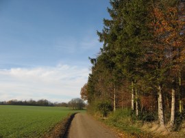 Heading towards Albury Hall