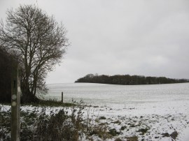 Fields nr The Warren