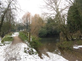 Ford on Paper Mill Lane