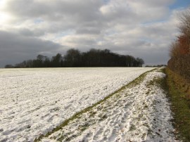 Heading towards Round Wood