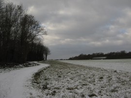 Path besides Round Wood