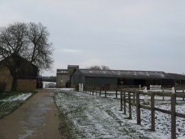 Arches Hall Stud Farm