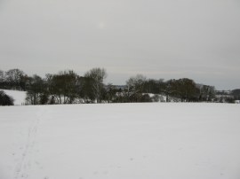 Heading towards the Fanhams Tributaries