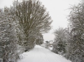 Footbridge over the River Rib