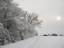 Heading alongside Young Wood