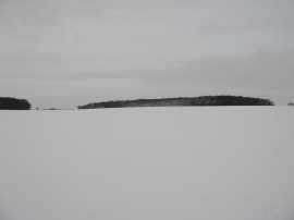 View back to Moat Wood