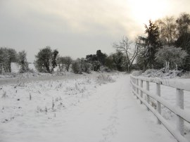 Pond nr Stanstead Lodge