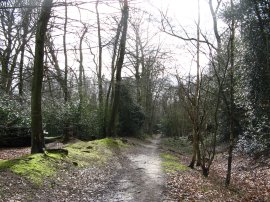 Runfold Nature Reserve