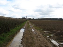 Fields nr Seale