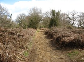 Public Byway nr Puttenham