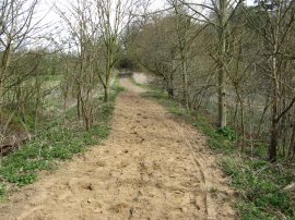 Path nr Sandy Farm