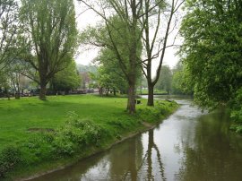 River Wey, Guildford