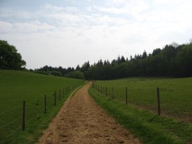 Path nr Chantry Wood