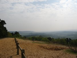 View from St Martha's church