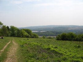 Blatchford Downs