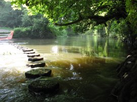 Boxhill Stepping Stones