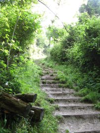 Path up Boxhill