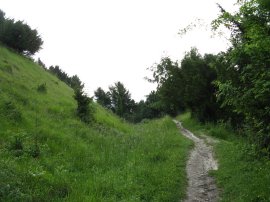 Path nr Brockham Limeworks