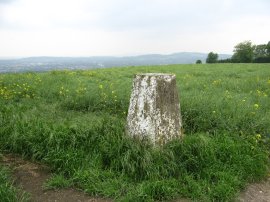 Trig Point, Ockley Hill