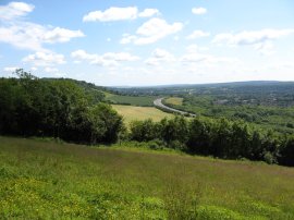 North Downs Way nr Hanging Wood