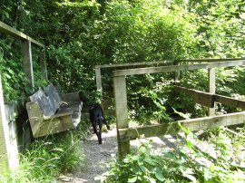 Oxted Steps