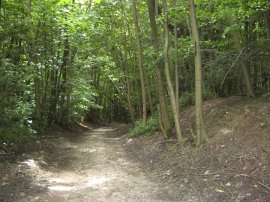 Pitchfork Lane, Titsey Hill