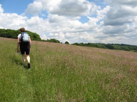 North Down Way above Titsey