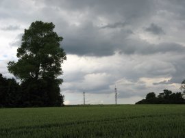 Fields nr Knockholt