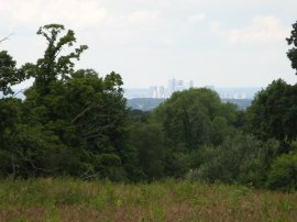 View towards Canary Wharf