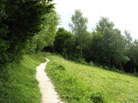 North Downs Way nr Kemsing