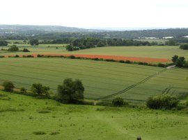 Fields between Kemsing and Wrotham