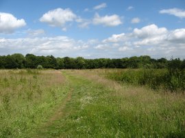 Path nr Pastead Wood