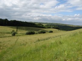 Heading towards North Wood