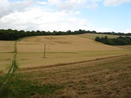 Path towards Ranscombe Farm