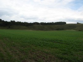 North Downs nr Detling