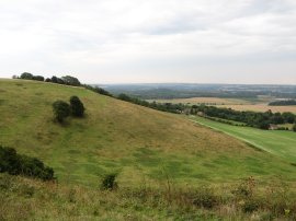 North Downs nr Detling