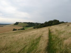 Looking back towards Cat's Mount