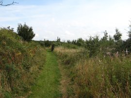 North Downs Way nr Hollingbourne