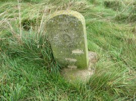 North Downs Way Milestone