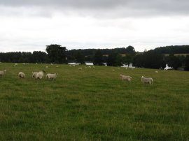 Eastwell Lake