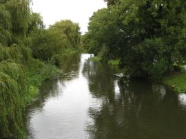 Great Stour River, Wye