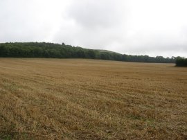 Heading towards the Wye Downs