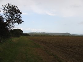 Path nr Cobbs Hill