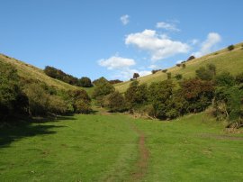 Grassy Coombe nr Etchinghill