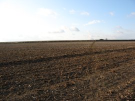 Farmland nr Ashley