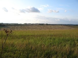 Farmland nr Ashley