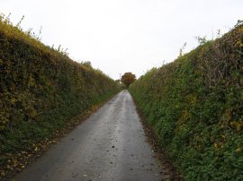 Long Lane