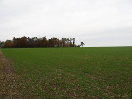 North Downs Way nr Woolage