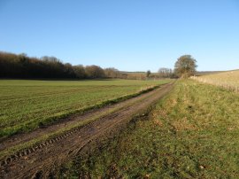 Field nr Old Wives Lees